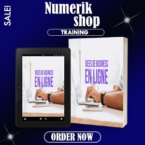 5 business en ligne