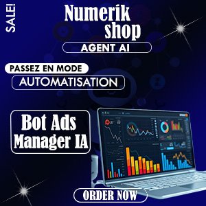 Bot Ads Manager IA : Votre Expert en Publicité Payante